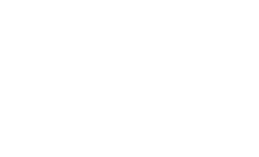 pulse text logo